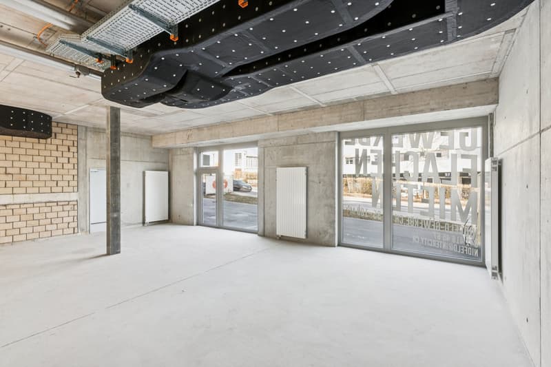 Partially developed commercial spaces in the up-and-coming quarter (2)