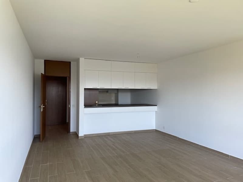 Spazioso appartamento di 2.5 locali con piscina e vista panoramica a Ruvigliana (3)