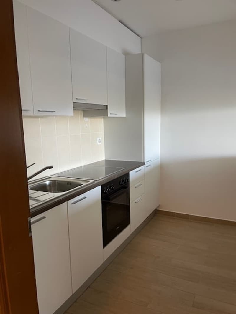 Spazioso appartamento di 2.5 locali con piscina e vista panoramica a Ruvigliana (4)