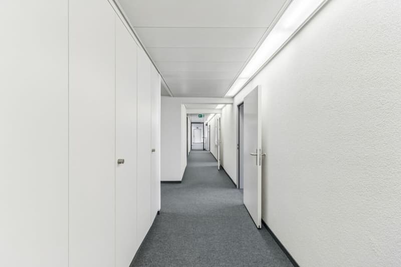 Il tuo nuovo sito ufficio a Zürich Altstetten (7)