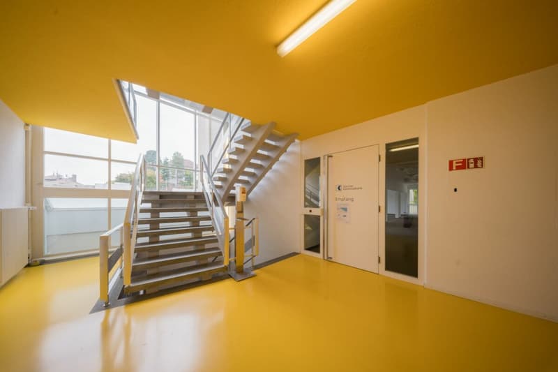 Horgen - Bureau entièrement aménagé Plug and Play (6)