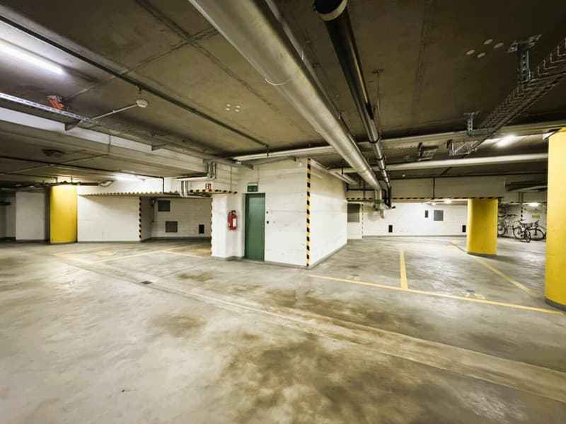 Friesenbergstr. 75 - Parcheggi in affitto nel garage sotterraneo 1.9m (7)