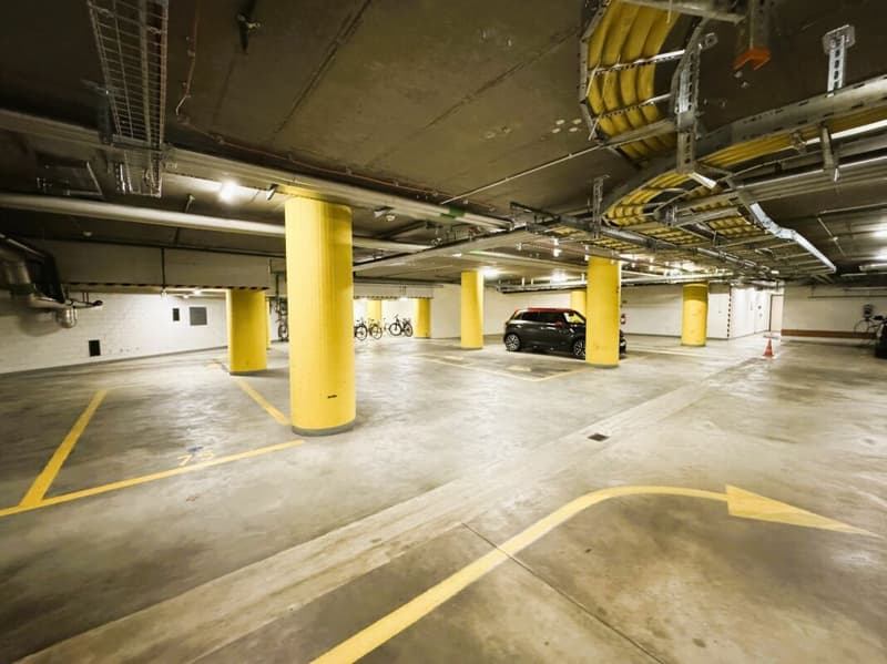 Friesenbergstr. 75 - Parcheggi in affitto nel garage sotterraneo 1.9m (3)