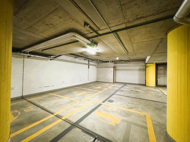 Friesenbergstr. 75 - Parcheggi in affitto nel garage sotterraneo 1.9m (8)