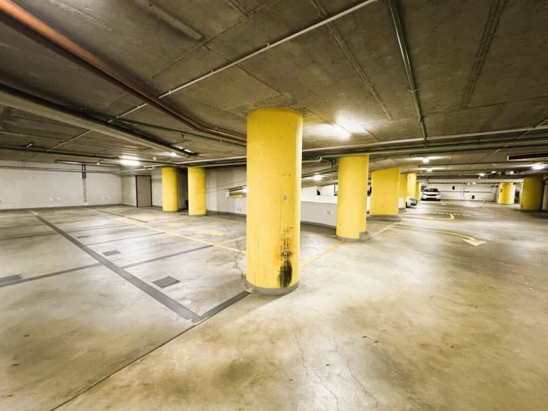 Friesenbergstr. 75 - Parcheggi in affitto nel garage sotterraneo 1.9m (6)