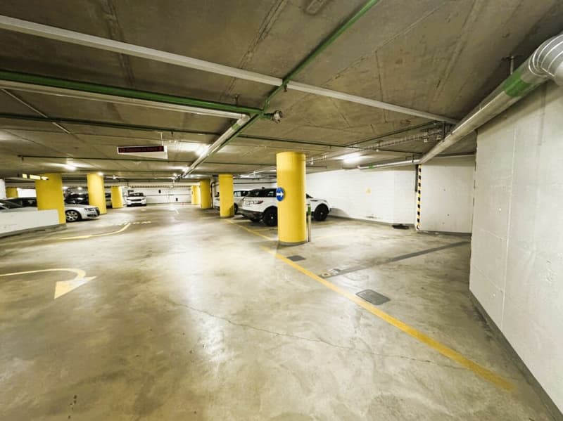 Friesenbergstr. 75 - Parcheggi in affitto nel garage sotterraneo 1.9m (4)