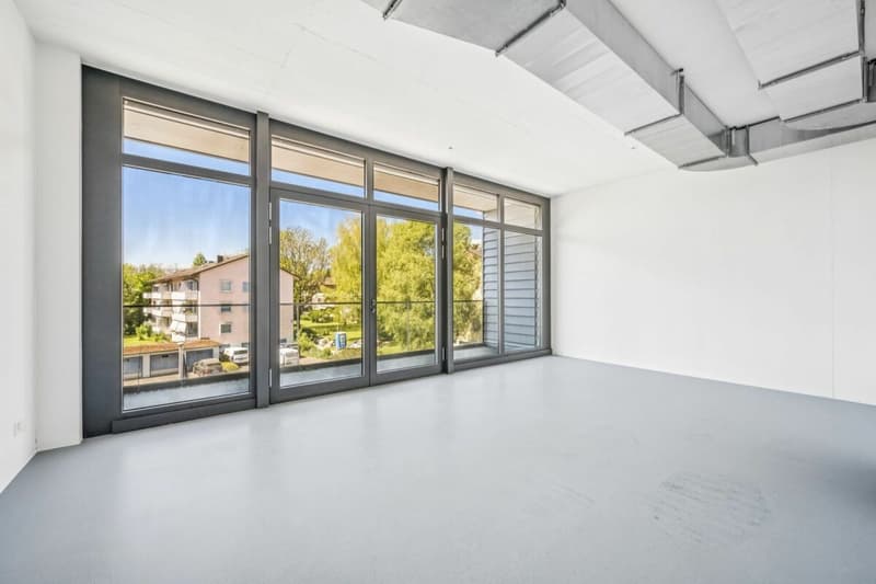 Zürichstrasse 72 - 199 m² (6)