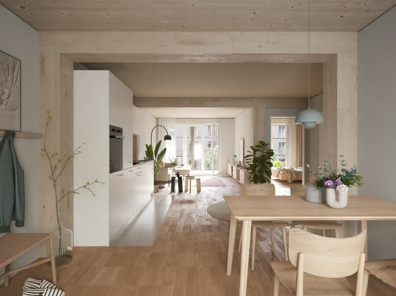 Aeschbachquartier Aarau - Hofhaus: Spacious 2.5 room apartment with terrace (1)