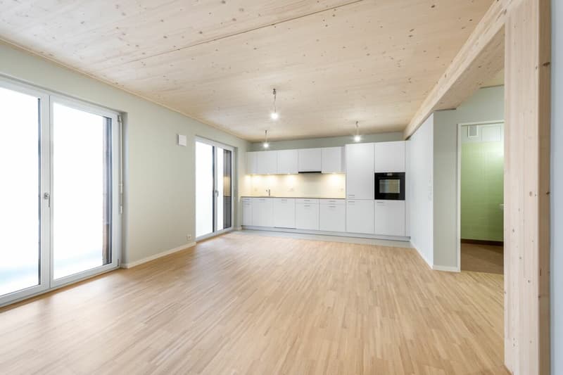 Aeschbachquartier Aarau - Hofhaus: Spacious 2.5 room apartment with terrace (7)