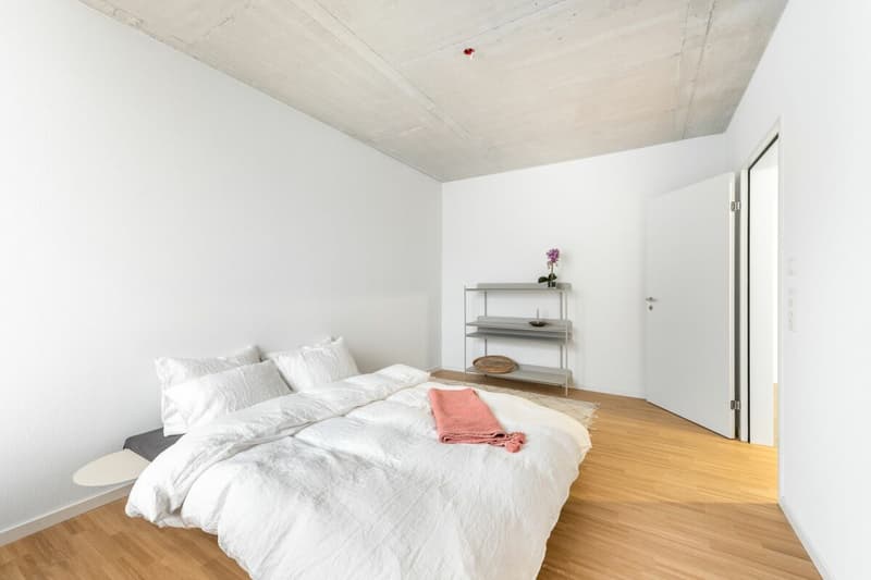 Einzigartige Loftwohnung mit Bogenfenster und Dachterrasse (5)