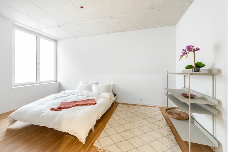 Einzigartige Loftwohnung mit Bogenfenster und Dachterrasse (10)