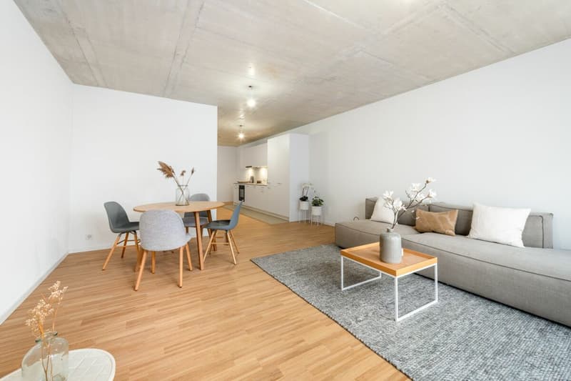Einzigartige Loftwohnung mit Bogenfenster und Dachterrasse (6)
