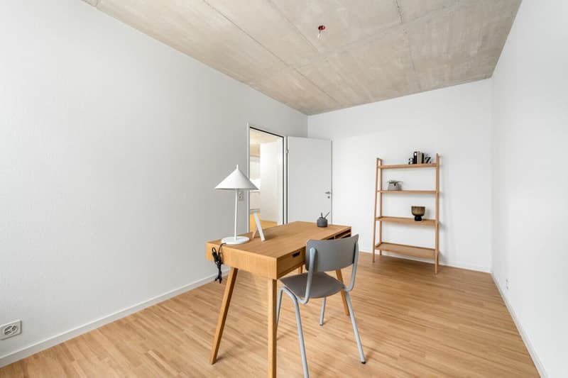 Einzigartige Loftwohnung mit Bogenfenster und Dachterrasse (9)
