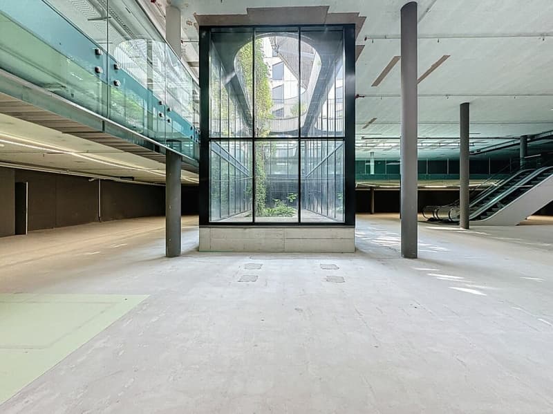 Unique area of 2'500 m², divisible, in the center of Lausanne (5)