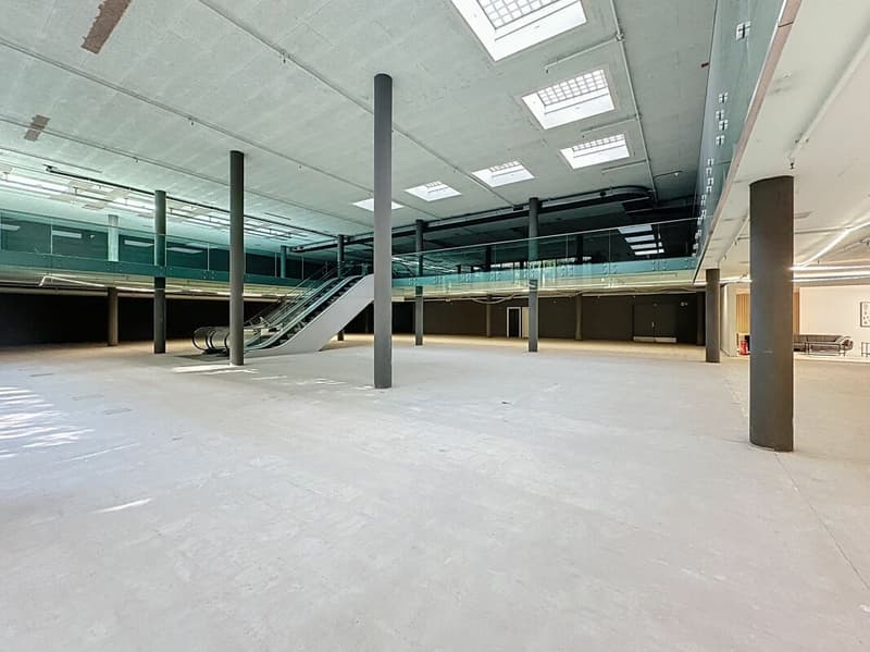 Unique area of 2'500 m², divisible, in the center of Lausanne (3)