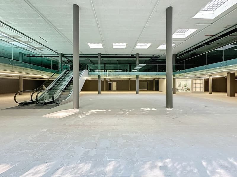 Unique area of 2'500 m², divisible, in the center of Lausanne (4)