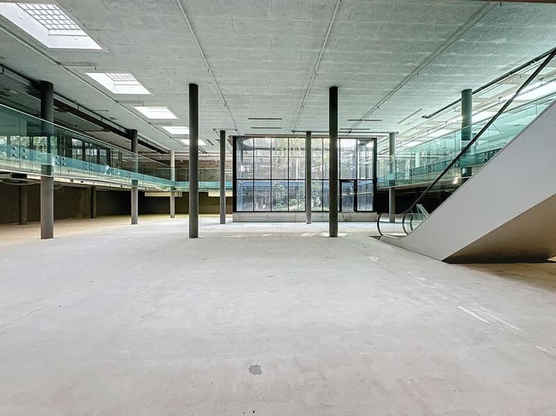 Unique area of 2'500 m², divisible, in the center of Lausanne (2)