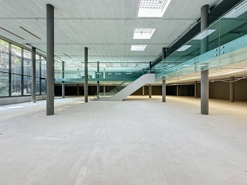 Unique area of 2'500 m², divisible, in the center of Lausanne (1)