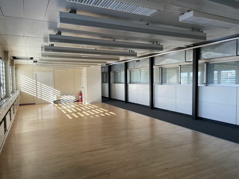 Spacious Open Space, close to Lausanne Train Station (2)