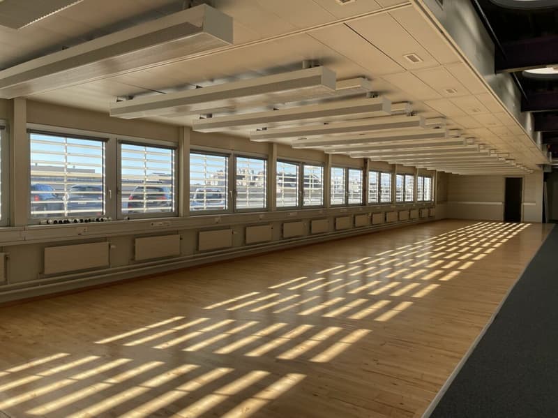 Spacious Open Space, close to Lausanne Train Station (5)