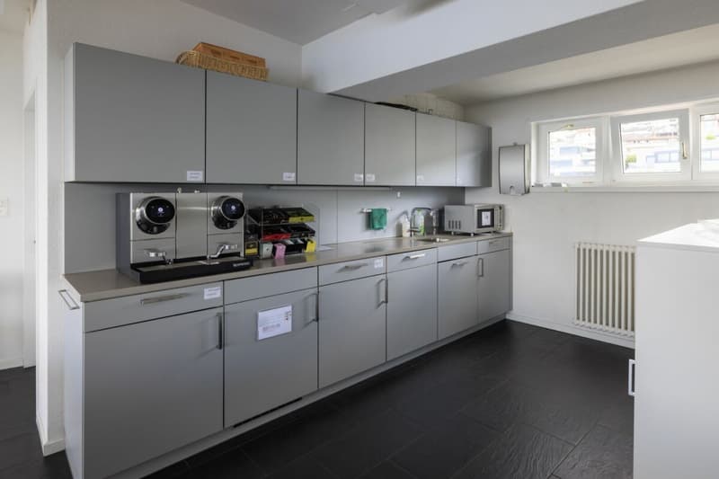 Horgen - Ufficio e sala da soggiorno ampliati con vista sul lago (6)