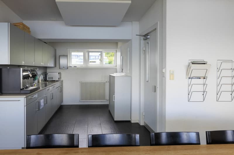 Horgen - Ufficio e sala da soggiorno ampliati con vista sul lago (3)