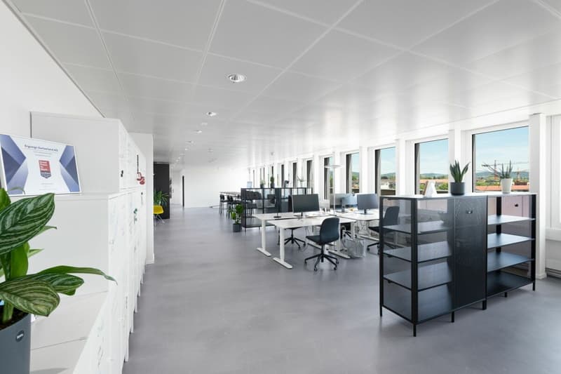 Friesenberg75 - Espace pour se concentrer, place pour réussir (7)