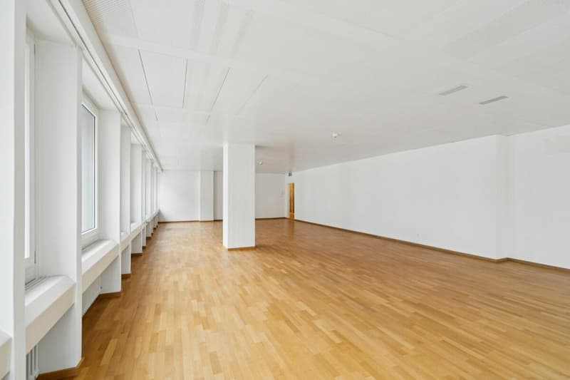 Bright office with a view of the inner courtyard (2)