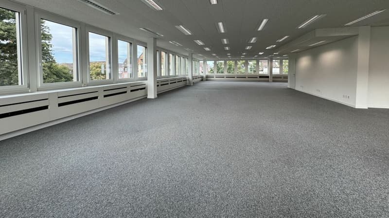 Ufficio ispiratore con vista sul verde (2)