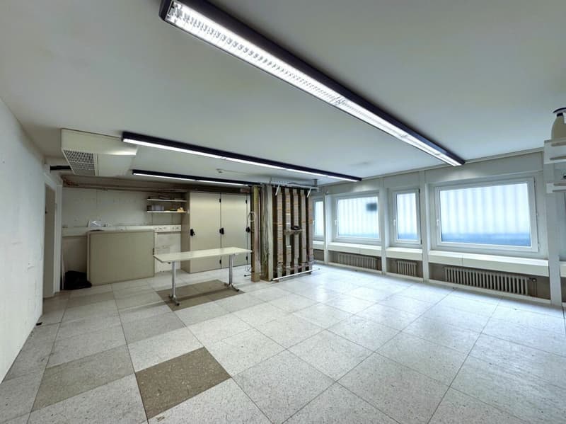 Spazio commerciale/magazzino flessibile con luce diurna (2)