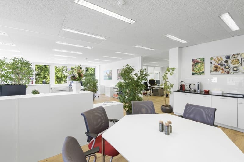 Friesenberg 75 - aussichtsreiches Arbeiten für mehr Erfolg (9)