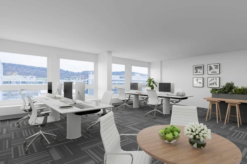 Rautistrasse 12 - Das Business Center für Ihren Erfolg (9)