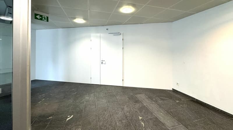 Versatile commercial space on the ground floor (10)