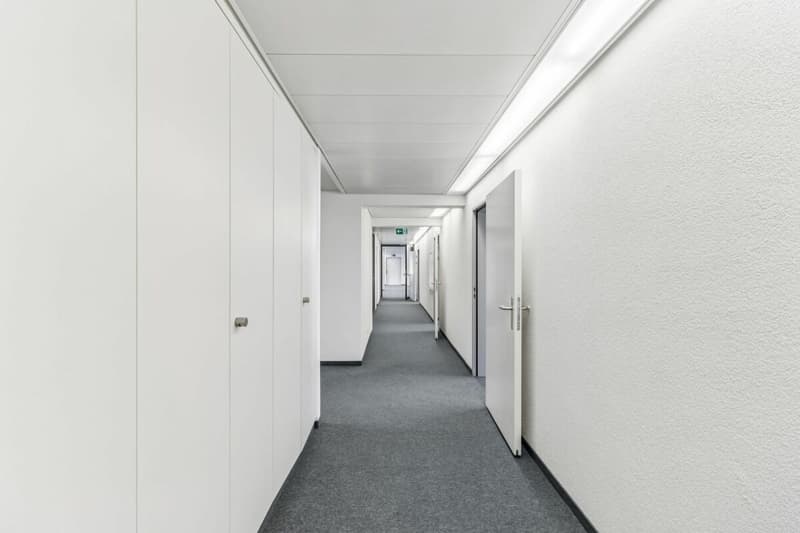 Zürich-Altstetten: Vielseitig nutzbare Bürofläche (3)