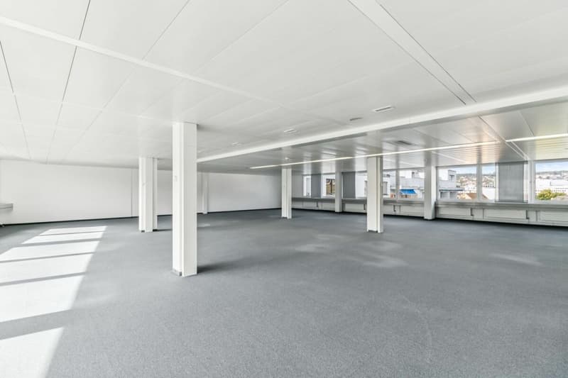 Zürich-Altstetten: Vielseitig nutzbare Bürofläche (6)