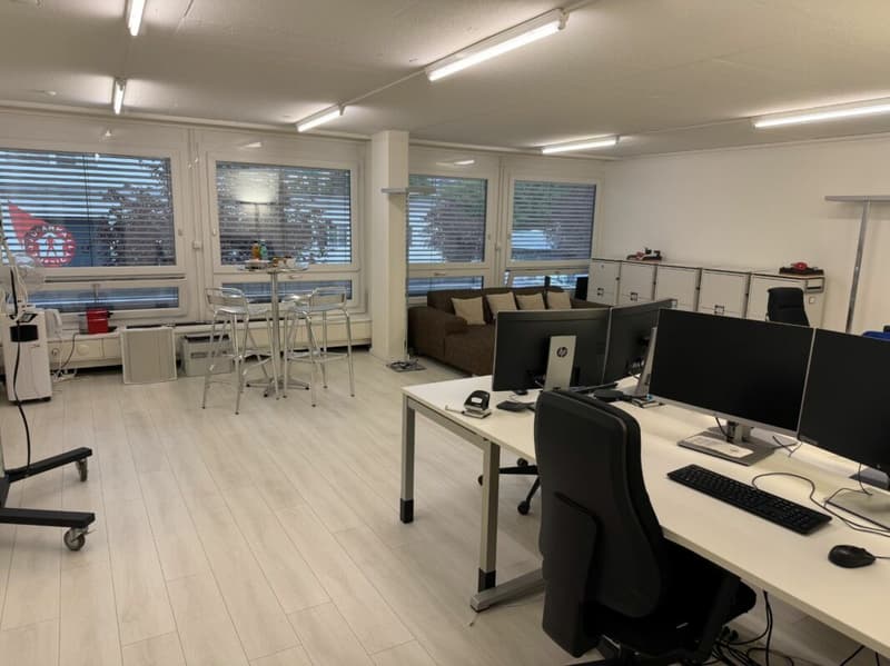 Rautistrasse 12: Expanded Office in Attractive Location (2)