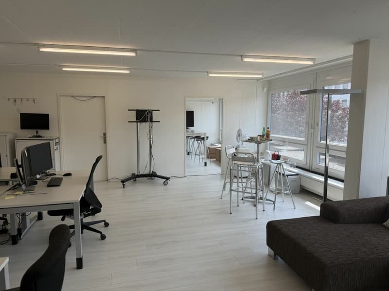 Rautistrasse 12: Ufficio ampliato in posizione attraente (2)