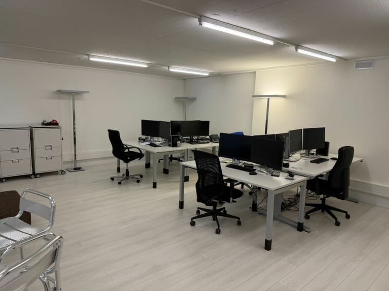 Rautistrasse 12: Ausgebautes Büro an attraktiver Lage (3)