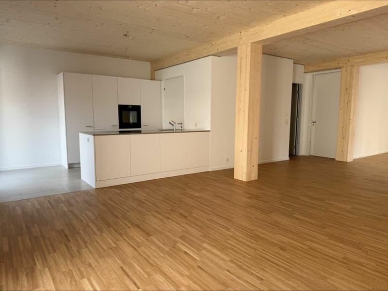 Aeschbachquartier Aarau - Hofhaus: Appartamento 2.5 locali spazioso con terrazza (3)