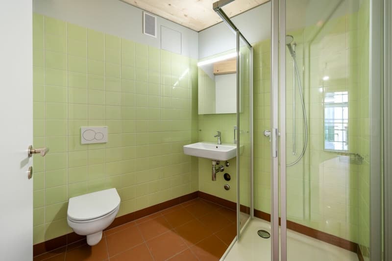 Wunderschöne 5.5-Zimmerwohnung mit Blick ins Grüne (3)