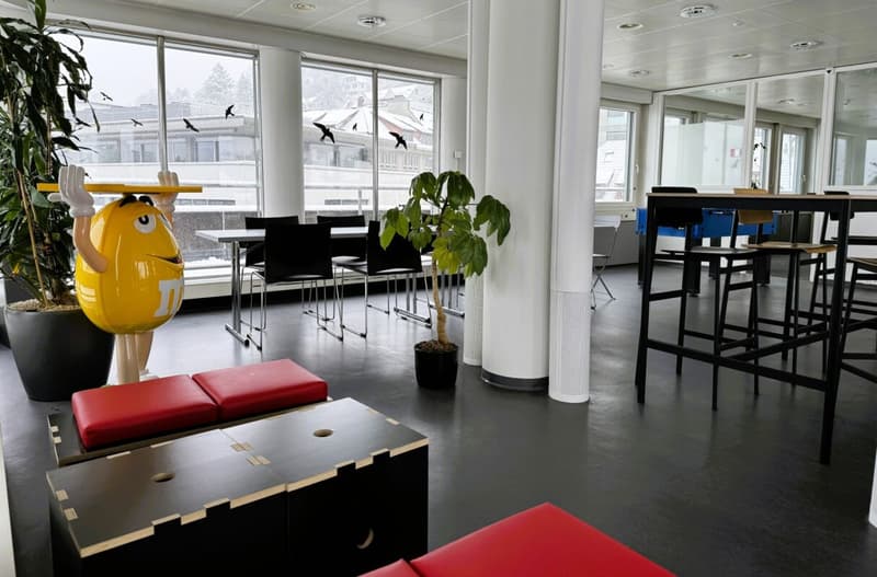 Über den Dächern arbeiten - 167 m² Büro mit Terrasse (10)