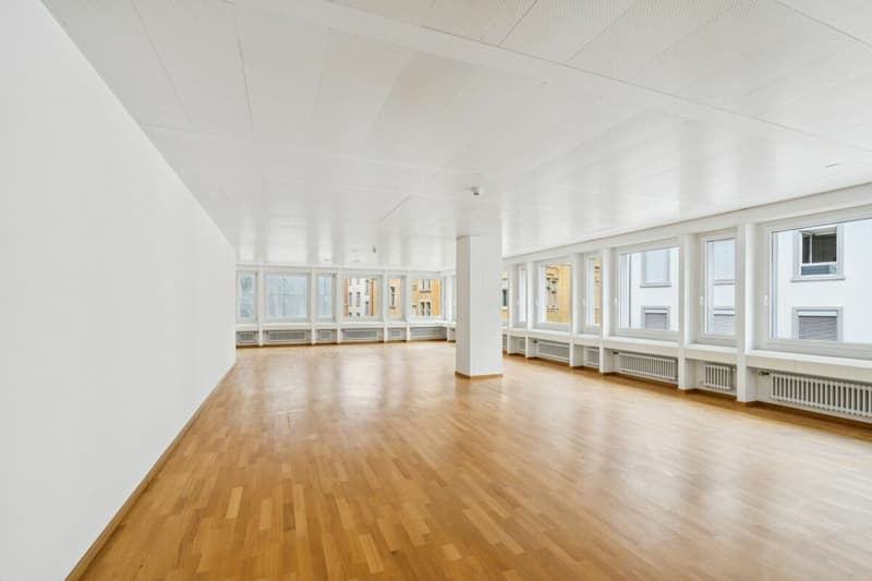 Lichtdurchflutetes Büro mit Blick in den Innenhof (10)