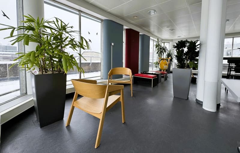 Arbeiten über den Dächern von St. Gallen: 231 m² Büro mit Terrasse (7)