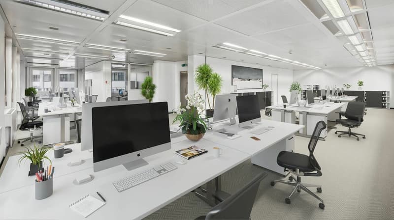Arbeiten über den Dächern von St. Gallen: 231 m² Büro mit Terrasse (12)