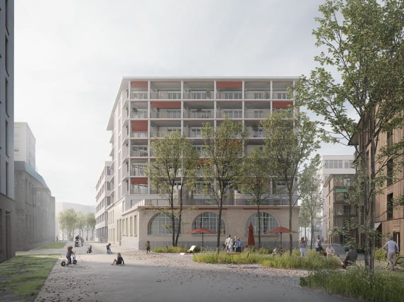 Einzigartiger Büroraum mit Dachterrasse - Aeschbachquartier Aarau (3)