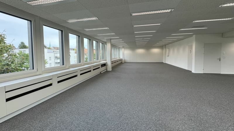 Inspirierendes Büro mit Sicht ins Grüne (3)