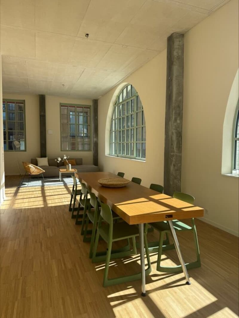 Einzigartige Loftwohnung mit Bogenfenster und Dachterrasse (2)