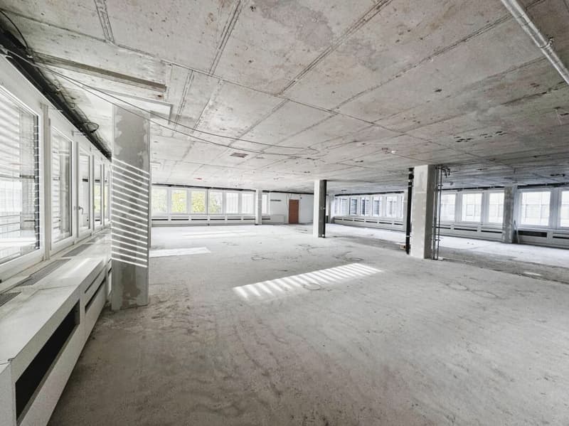 Lichtdurchflutetes Büro? Wir haben es. (2)