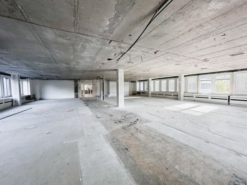Lichtdurchflutetes Büro? Wir haben es. (7)