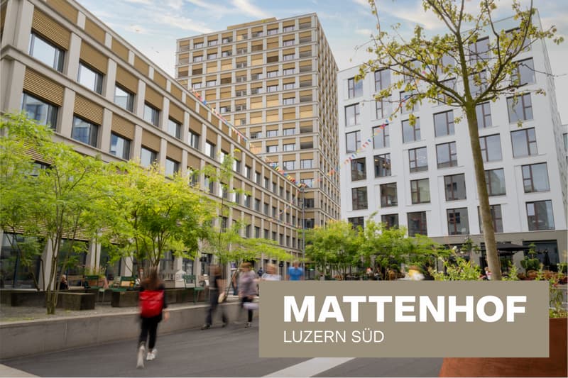 Areal_Mattenhof.png